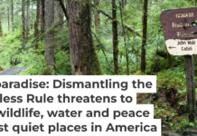A sign on a dirt hiking trail in the Tongass National Forest in southeast Alaska points to naturalist John Muir’s cabin. Wanderluster/iStock/Getty Images